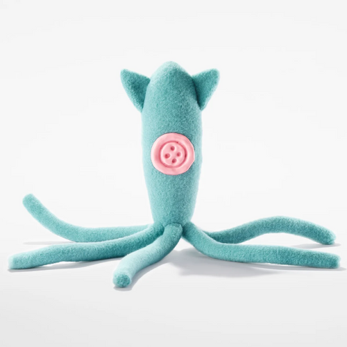 Coraline Squid